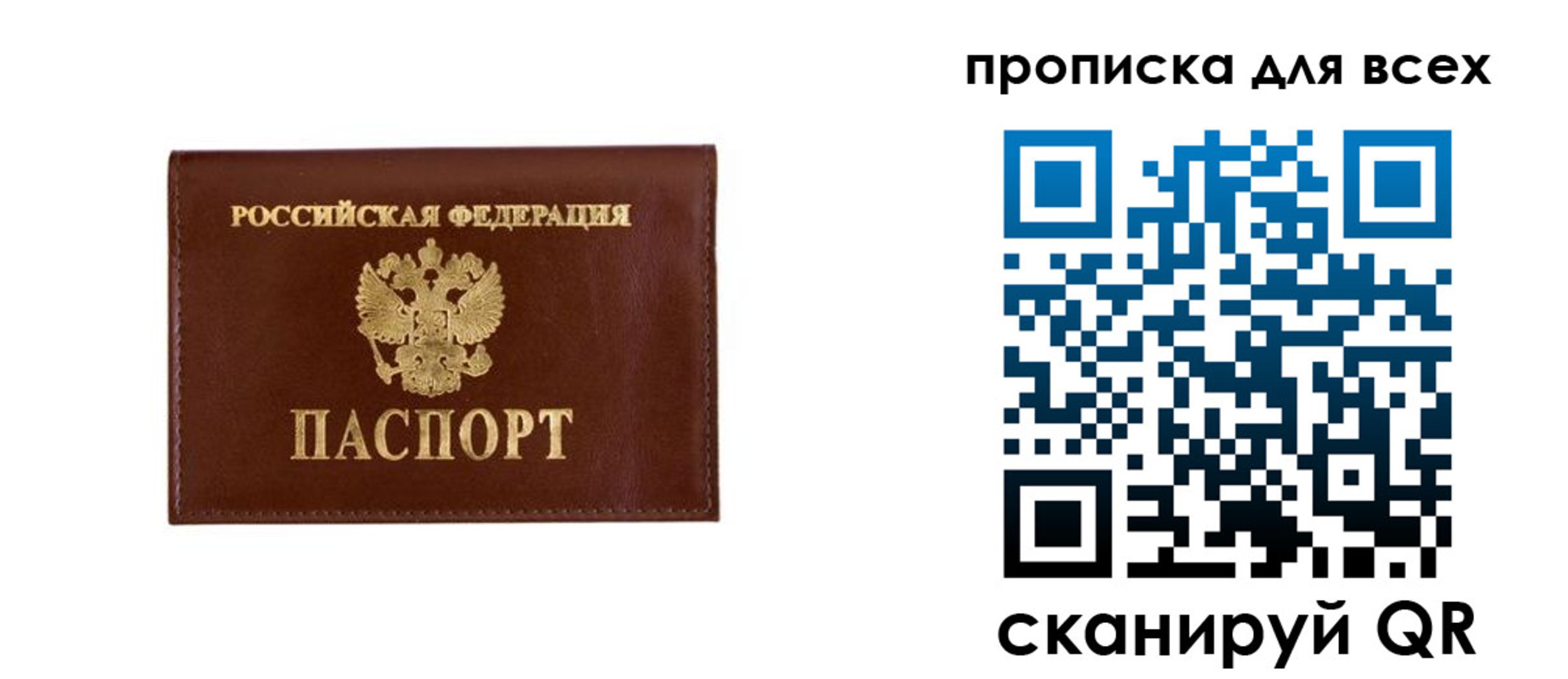 прописка в Курской области
